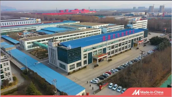 Women′s Down Coats Winter Warmth Puffer Jacket for Ladies 